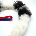 Owca mix