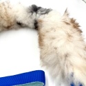 Owca mix