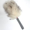 Owca mini